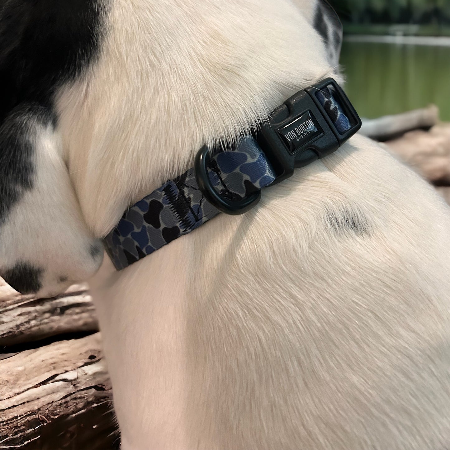 Camo Dog Collar Coral Blue Dog Collar Von Burton Supply Co.