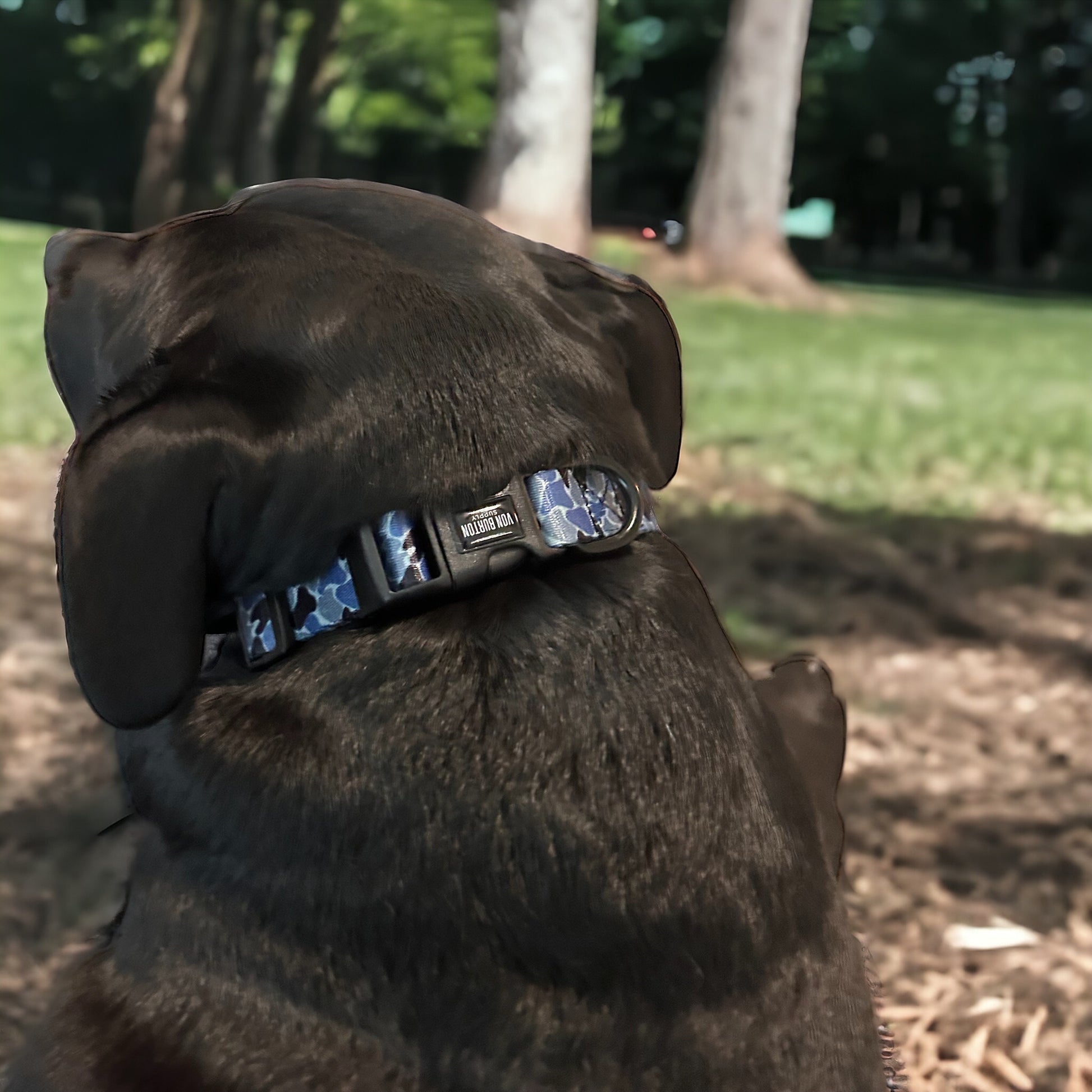 Camo Dog Collar Coral Blue Dog Collar Von Burton Supply Co.   